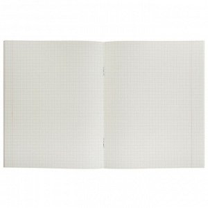 Комплект тетрадей из 5 штук, 48 листов в клетку Calligrata "Океан", обложка мелованная бумага, блок №2, белизна 75% (серые листы)