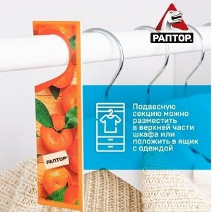 РАПТОР Секция от моли с запахом мандарина (кар. подвеска) 2 шт. NEW 2019 (25/100)