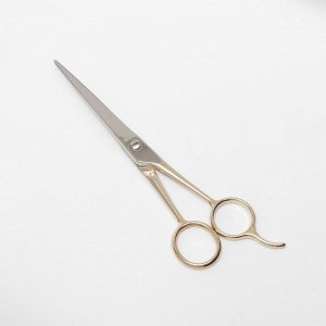 Ножницы парикмахерские с упором, лезвие — 6,5 см, цвет золотистый/серебристый