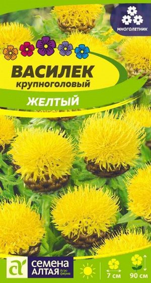 Василек Желтый Крупноголовый/Сем Алт/цп 0,2 гр. многолетник