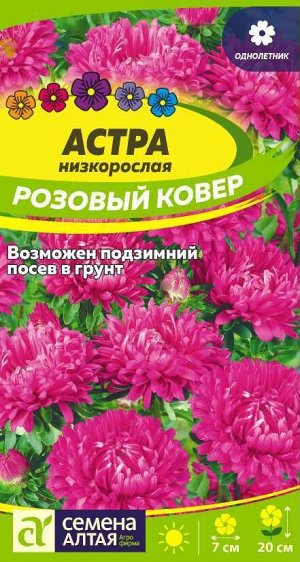 Астра Розовый ковер низкорослая/Сем Алт/цп 0,3 гр.