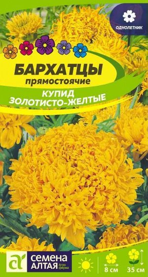 Цветы Бархатцы Купид Золотисто-Желтые/Сем Алт/цп 0,3 гр.