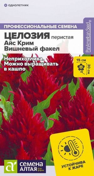 Цветы Целозия Айс Крим Вишневый факел перистая/Сем Алт/цп 10 шт.