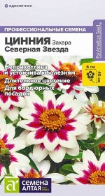 Цветы Цинния Захара Северная звезда/Сем Алт/цп 6 шт. НОВИНКА