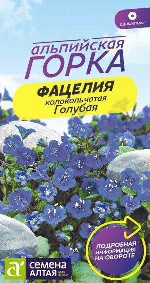 Цветы Фацелия Голубая колокольчатая/Сем Алт/цп 0,1 гр. Альпийская горка