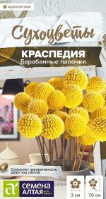 Краспедия Барабанные палочки шаровидная/Сем Алт/цп 0,05 гр. Сухоцветы