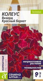 Цветы Колеус Визард Красный бархат/Сем Алт/цп 8 шт.