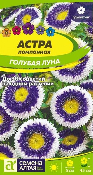 Астра Голубая Луна помпонная 0,1 гр