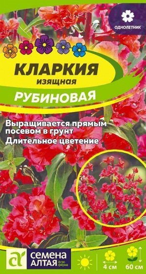 Цветы Кларкия Рубиновая изящная/Сем Алт/цп 0,2 гр.