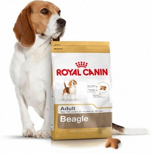 Royal Canin  COCKER ADULT (КОКЕР ЭДАЛТ)
Питание для взрослых собак породы кокер-спаниель в возрасте от 12 месяцев и старше