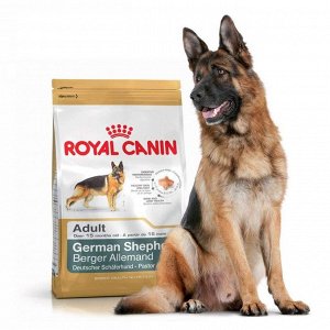 Royal Canin  GERMAN SHEPHERD ADULT (НЕМЕЦКАЯ ОВЧАРКА ЭДАЛТ)
Питание для взрослых собак породы немецкая овчарка в возрасте от 15 месяцев и старше