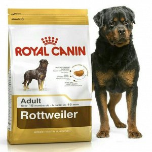 Royal Canin  ROTTWEILER ADULT (РОТВЕЙЛЕР ЭДАЛТ)
Питание для взрослых собак породы ротвейлер в возрасте от 18 месяцев и старше