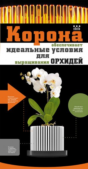 Техоснастка Корона для орхидеи с поддоном Стандарт, ораньжевый d=130 мм, h=120 мм