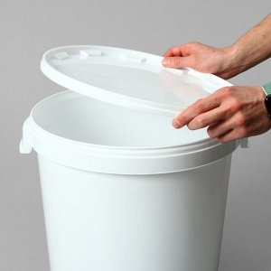 Бак - ведро пищевой «Для солений», 32.9 л, пластиковый, с герметичной крышкой