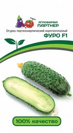 Семена Огурец партенокарпический Фуро F1  5шт