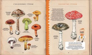 Грибы. Удивительные и малоизвестные факты из жизни грибов