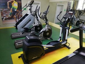 Эллиптический тренажер Vertex E-22R.1 Alpha Swing