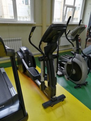Эллиптический тренажер Vertex E-22R.1 Alpha Swing