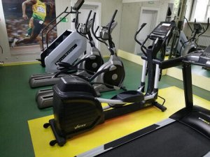 Эллиптический тренажер Vertex E-22R.1 Alpha Swing