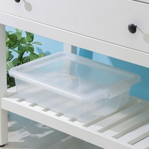 Контейнер для хранения Porter, 8 л, 43x31,5x11 см, с крышкой, прозрачный