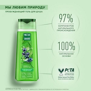 Чистая Линия гель для душа Пробуждающий на 100% натуральной основе, смородина и ледниковая вода 250 мл