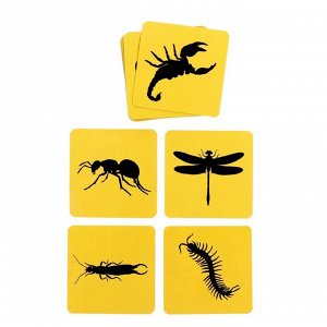Набор фигурок животных с обучающими карточками «Мир насекомых»