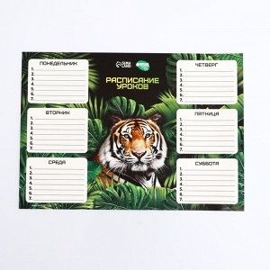 Расписание уроков «Величественный тигр» А4