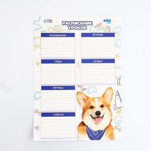 Расписание уроков «Милый щенок» А4