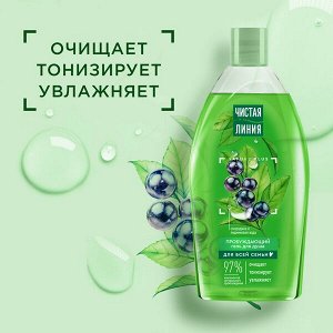 Чистая Линия гель для душа Пробуждающий для всей семьи на натуральной основе, смородина и ледниковая вода 750 мл