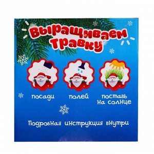 Набор для опытов «Выращиваем травку», сапожок