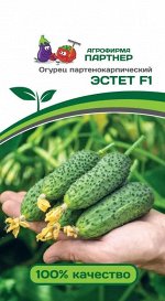 Семена Огурец партенокарпический Эстет F1 5 шт