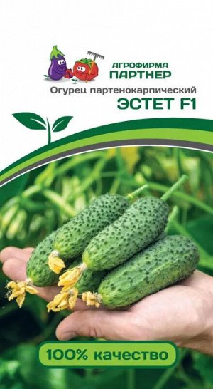Семена Огурец партенокарпический Эстет F1 5 шт