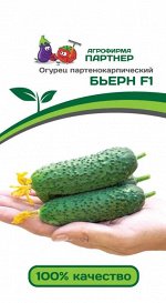 Семена Огурец партенокарпический Бьёрн F1 5 шт