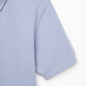Футболка поло мужская MINAKU REGULAR FIT: серая