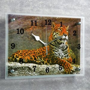 Часы настенные, серия: Животный мир, "Леопард"25х35 см