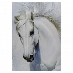 Картина-холст на подрамнике "Белый конь" 50х70 см