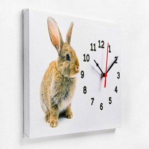 Часы-картина настенные "Кролик", плавный ход, 30 х 40 см, 1 АА