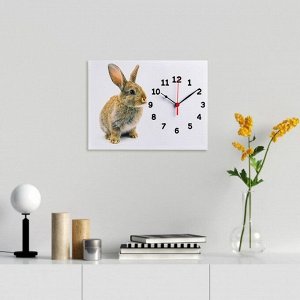 Часы-картина настенные "Заяц", плавный ход, 30 х 40 см, 1 АА