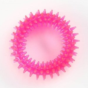 Игрушка жевательная для собак "Игольчатое кольцо", 9 см, розовая
