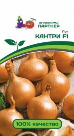 Семена Лук репчатый Кантри F1^ (0,5Г)
