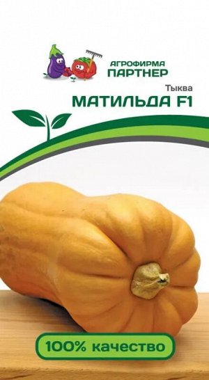 Семена Тыква Матильда F1 5 шт.