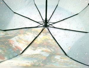 Зонт женский автомат картина НА СКАМЕЙКЕ (DINIYA)