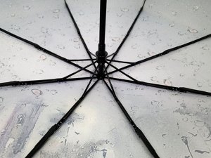 Зонт женский полуавтомат Картина ДЕВУШКА В СИНЕМ (DINIYA)
