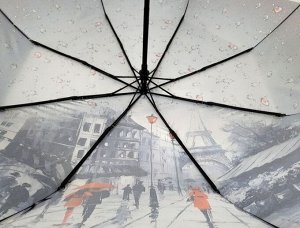 Зонт женский полуавтомат Картина ДЕВУШКА В КРАСНОМ (DINIYA)