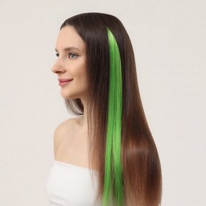 Локон накладной, прямой волос, на заколке, 50 см, 5 гр, цвет зелёный