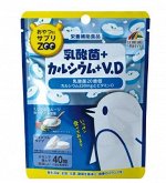 UNIMAT RIKEN ZOO BAG Series For Snacks Lactic Acid Bacteria + Calcium - кальций и лактобактерии 40 шт