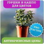 АНТИКРИЗИСНЫЕ ЦЕНЫ! на ГОРШОЧКИ и КАШПО ДЛЯ ЦВЕТОВ