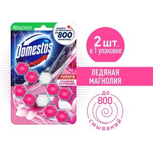 Domestos Power 5 Duo блок для унитаза Ледяная магнолия, защита от микробов и налета 2X55 гр