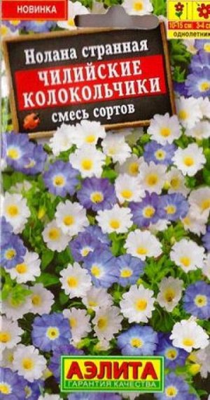 Нолана Чилийские колокольчики (Код: 86783)