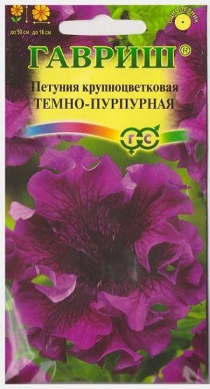 Петуния Темно-пурпурная (Код: 73588)